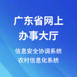 广东省网上办事大厅（信息安全协调系统，农村信息化系统）